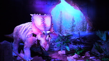 Navštivte s dětmi DinoPark Liberec
